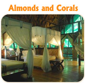Almonds and Corals - Tucan Limo Services