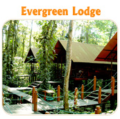 Evergreen Lodge - TUCAN LIMO SERVICES 