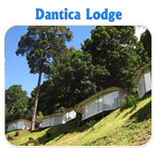DANTICA LODGE- TUCAN LIMO RESERVATIONS HOTELS