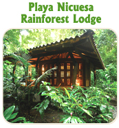 PLAYA NICUESA RAINFOREST LODGE - TUCAN LIMO SERVICES